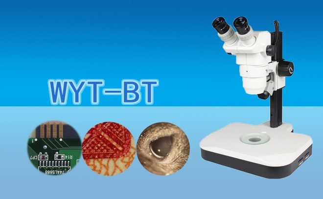 三目體視91视频网址免费WYT-BT
